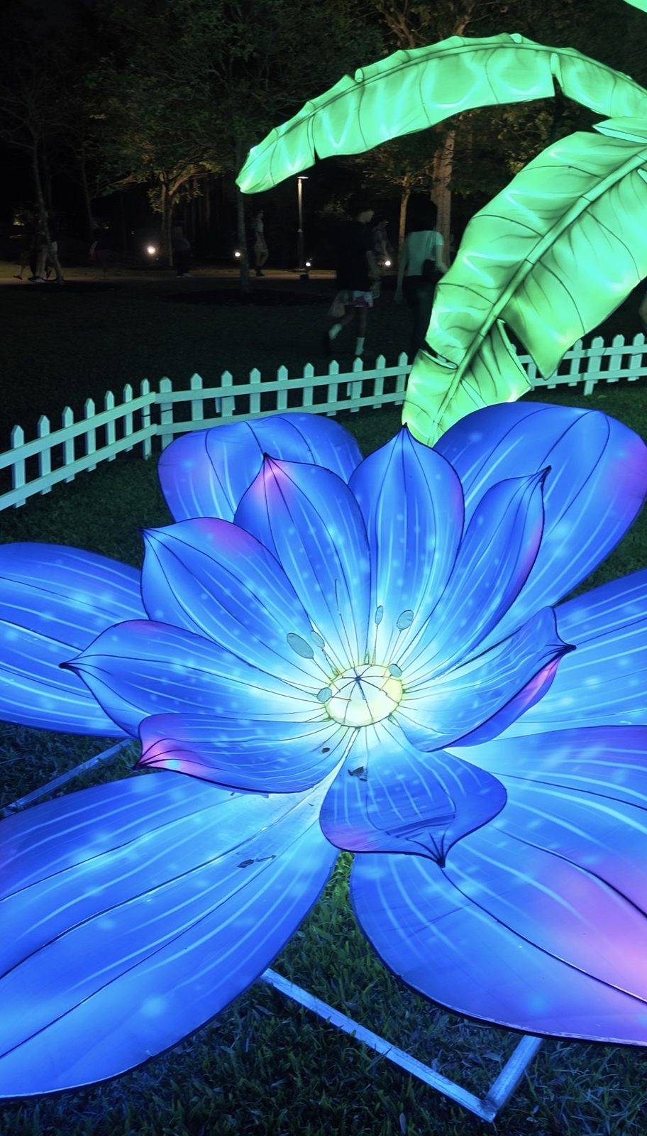 A large blue lotus lantern on the grass