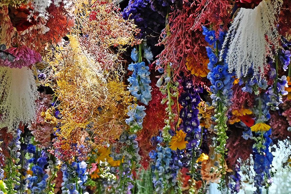 Disney Garden of Wonder at Floral Fantasy